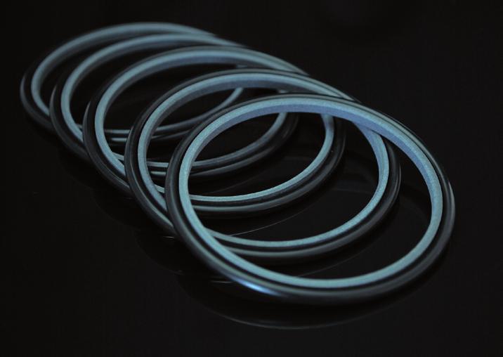 Piston and rod seals for Wärtsilä engines Rod seals in PTFE 15% glass + 5% MoS 2 with O-Rings in