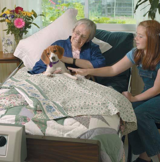 Guardian Homecare Bed