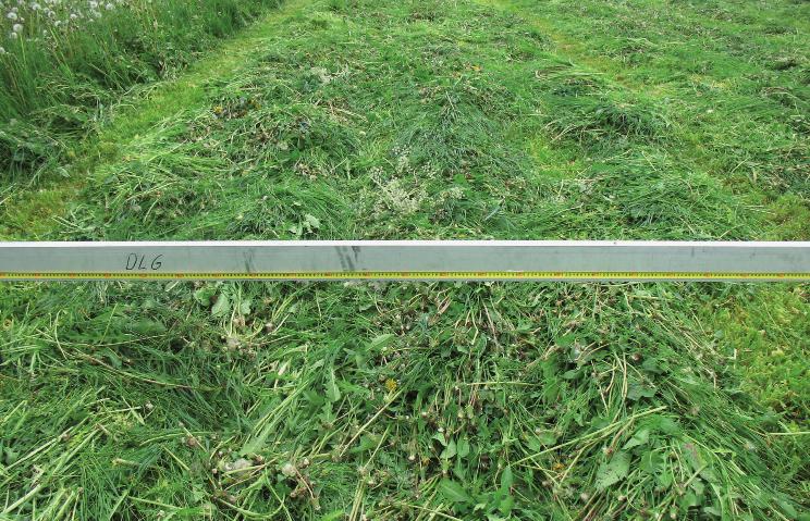 Quality of work Fouling of the forage To determine the extent to which the forage is fouled, 5 separate samples were taken from the windrow and combined into a hybrid sample.