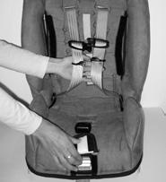 Forward-facing child is too tall for restraint if tops of the ears are above the back of the restraint or if child is more than 57 tall (44 cm). Adjusting Harness Height.