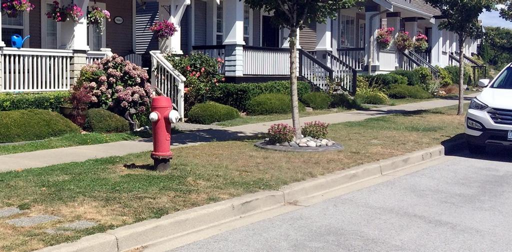 The Reduction of Parking Restrictions around Fire Hydrants: An Examination of Parking