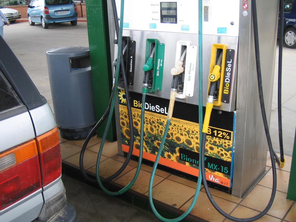 Automobiliuose dažniausiai naudojamos šios biodegalų rūšys: bioetanolis, biodyzelinas ir jų mišiniai su mineraliniais degalais.