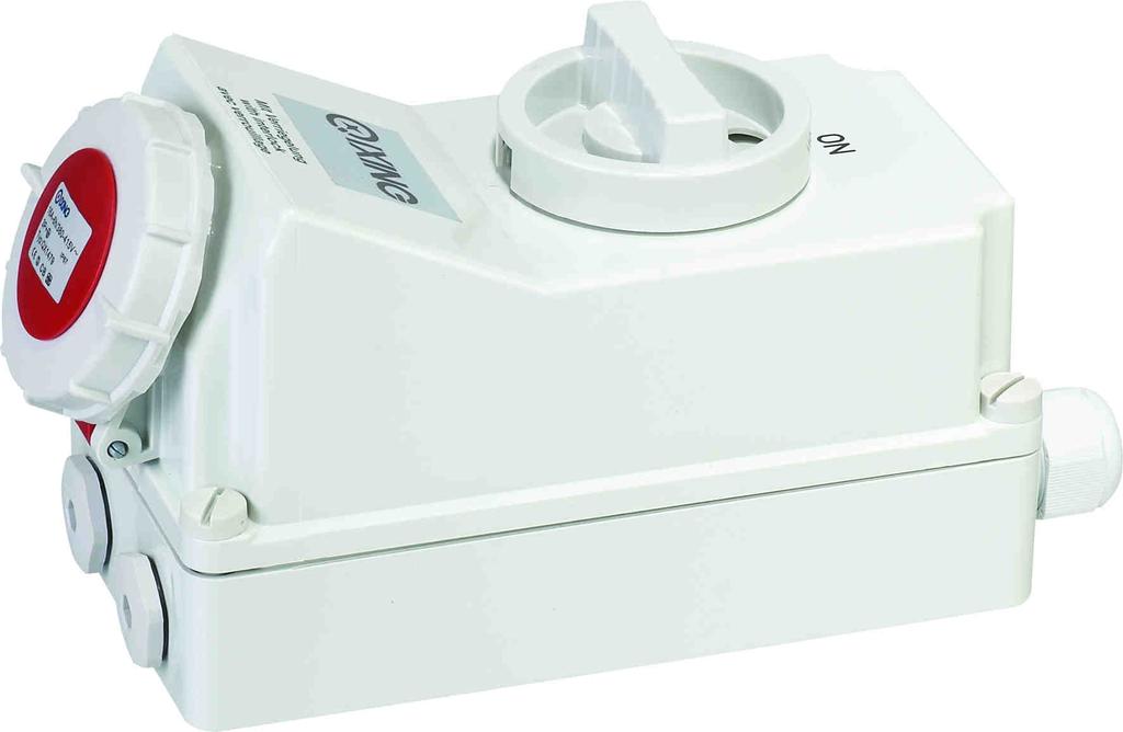 Switched Sockets As the name suggests a combination of a load break switch and a interlocked socket outlet.