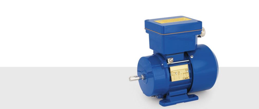 Explosion-Proof Motors Increased Safety II 2G