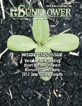 The Sunflower, January 2013 Issue Options Growing with