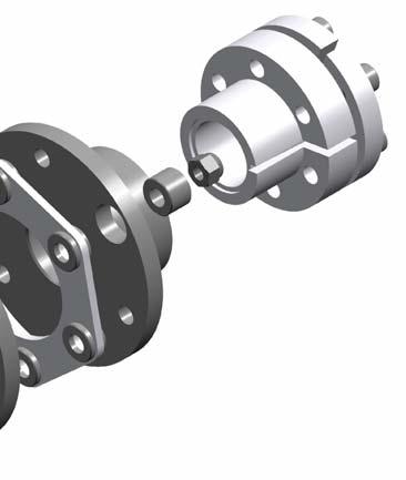 Specific treatments or version in full stainless steel possible. Reinforced couplings for specific requirements and heavy applica ons. Connec on to torque limiter (safety coupling) range possible.