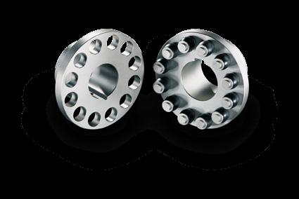 BIPEX BIPEX couplings from the standard BWN series consist of two identical hub parts (material GG-25).