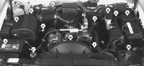 VORTEC 5700 V8 Engine VORTEC 5700 engine shown, locations for other engines similar. When you lift up the hood you ll see: A. Battery B. Engine Air Cleaner/Filter C. Radiator Cap D.