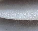 Water repellency and a low surface energy will be obtained on hydrophobic surfaces.