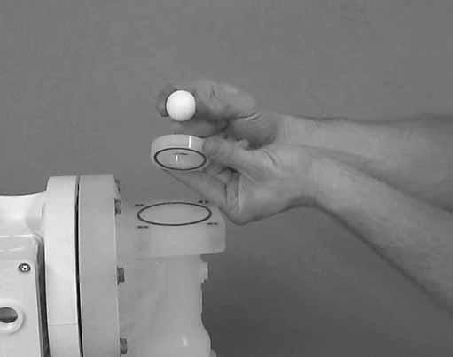 The model used for these instructions incorporates PTFE diaphragms and balls. Models with rubber diaphragms and balls are the same except where noted. DISASSEMBLY: Figure 1 Step 1.