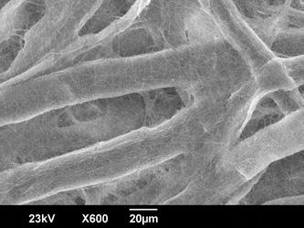The most technologically advanced and highest performing filters are nanofiber filters. These filters, such as genuine UAS Advanced Nanofiber cartridges, use fibers 1/1,000 of a micron (Figure 3).
