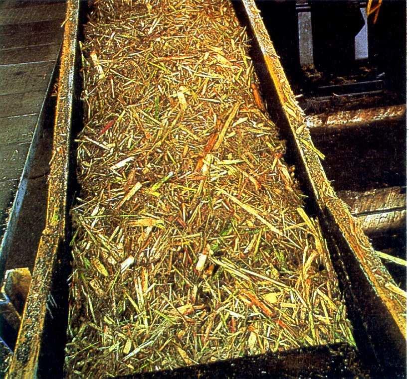 7 Mt/a (118 PJ/a) Sugarcane bagasse 3.3 Mt/a (58 PJ/a) Wheat straw 1.