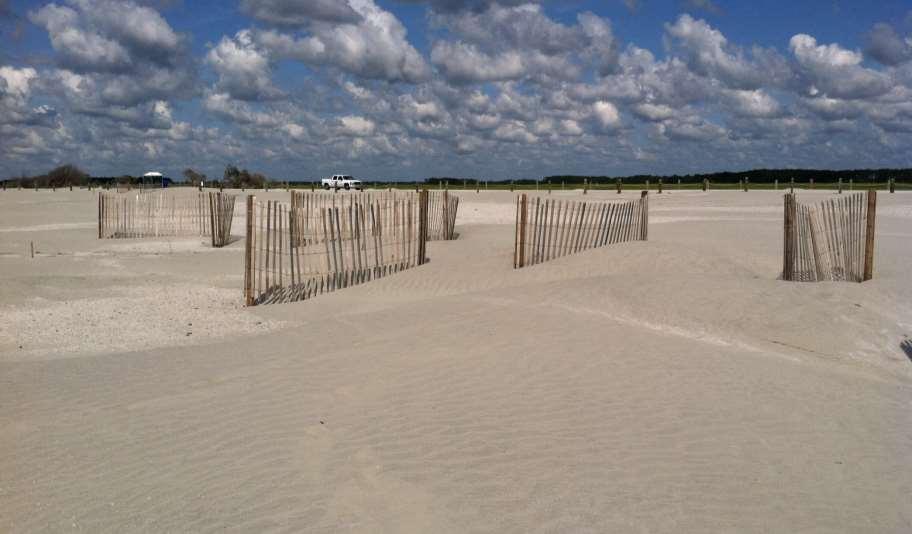 SAND FENCING
