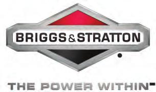 If replacing a Briggs & Stratton engine with another Briggs & Stratton engine, use the original engine s model and type numbers to assure the correct replacement.