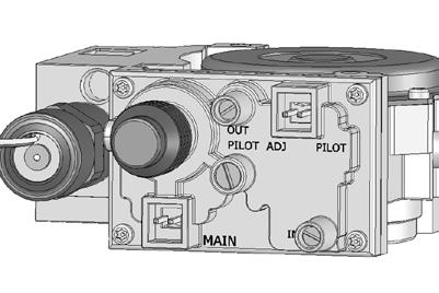 Main Control Module IPI Gas Valve Hand Held Transmitter Extension Module The Main Control Module