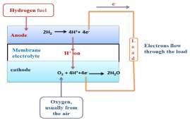 B. Fuel Cell System Design Fuel cell is an electrochemical energy conversion device which converts the chemical energy of hydrogen and oxygen to electricity and water.