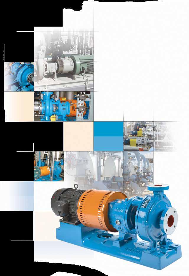 Proven Performance Over One Million Process Pump Installations Worldwide When the Goulds 196 ANSI Standard
