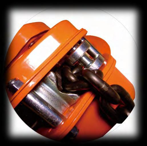 chain stripper allows the safe use of the SS 11 & PROLH when used in any