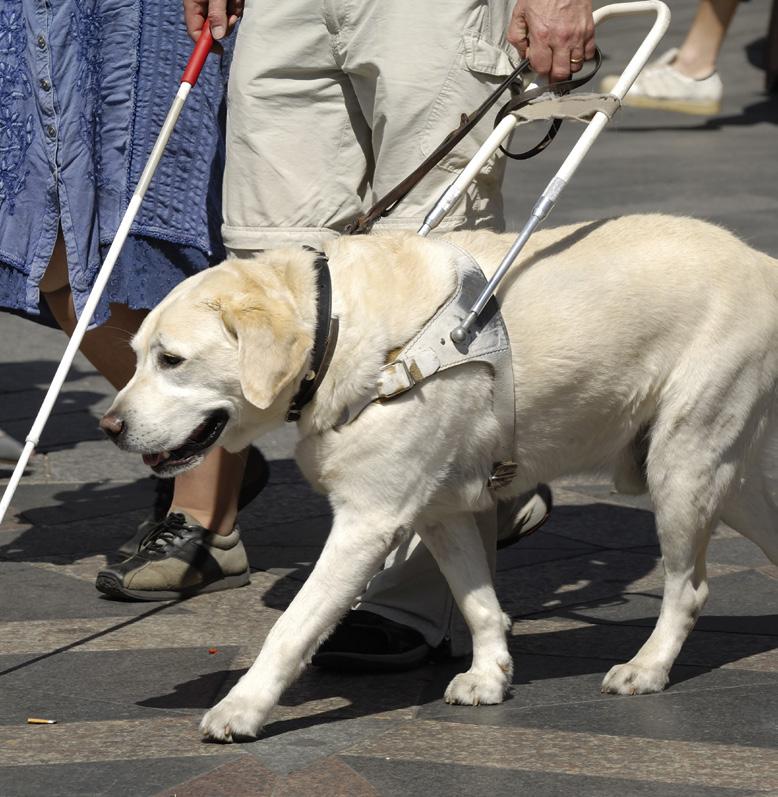 JOURNEY ASSISTANCE SCHEME ASSISTANCE DOGS We accept all recognised assistance dogs, including those accompanied by registered Puppy Walkers and Guide