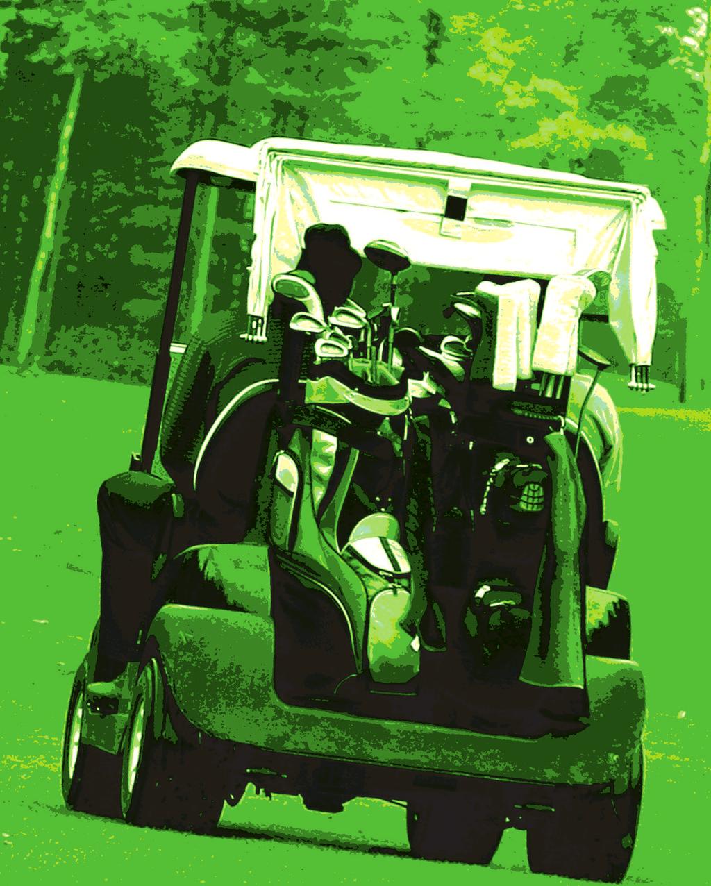 Lawn, Garden and Golf A wide selection of turf proven, purpose-designed tread offerings coupled with application-based, puncture resistant