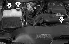 Cooling System (Gasoline Engine) When you decide it s safe to lift the hood, here s what you ll see: The coolant