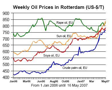 Vegetable Oil prices