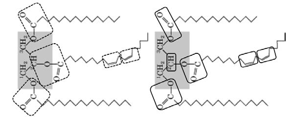 PHYSICAL (PHASE) EQUILIBRIA LLE and VLE Figure 3-2 Illustrations of possible functional group assignment on a pseudo-tag component. Two alternative assignment schemes are displayed.