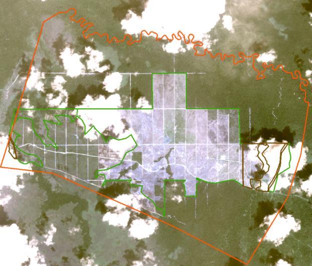 Alert Imagery May 17, 2017 Nov 22, 2017 Note: Green Line = Forest, Brown Line = Peat. Ownership Information PT Rimbun Sawit Papua is ultimately owned by Jeff Setiawan (direct shares), Ir.