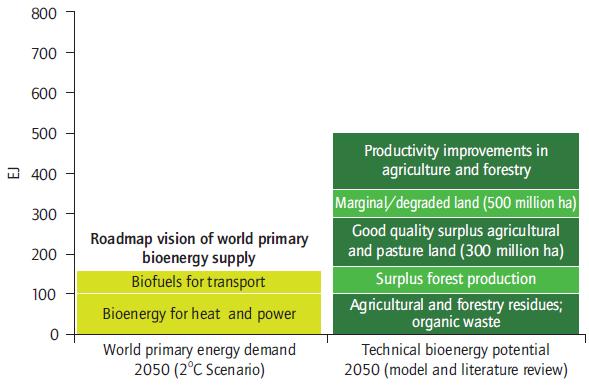 Biomass supply prospects - uncertainties remain Uncertainties GHG balance/iluc? Competition for resource? Economic? Water?