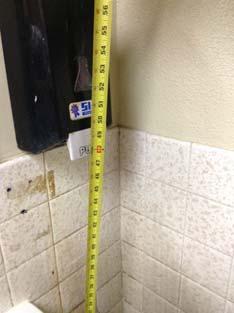 97 South Annex Jail 98 South Annex Jail Accessories Urinals Soap dispenser measured over 40" AFF