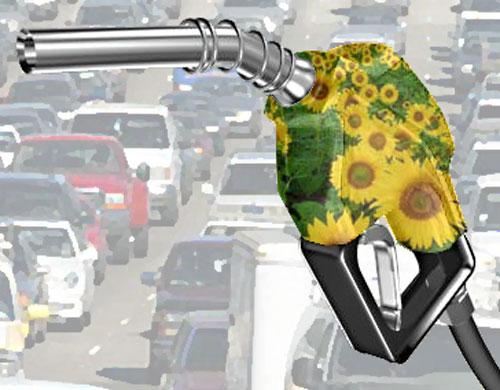 Who is Using Biodiesel Today?