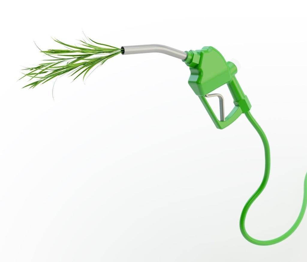 Why does the biodiesel experience matter?