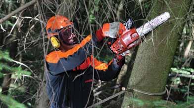 This durable saw is ideal for tree surgery and heavy-duty pruning. 36.3 cc 1.4 kw 4.6 kg 16 (40 cm) CS450 The CS450 features ECHO s powerful and reliable 45cc 2-stroke engine.