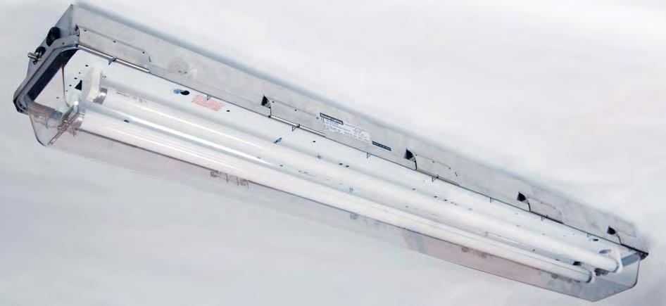PROTECTA S/S 100 STAINLESS STEEL FLUORESCENT The Protecta is also available in a stainless steel body version. This incorporates the same design and monitoring features found in the GRP body Protecta.