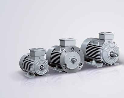 Low-voltage squirrel-cage motors 4 Motor standard 4 Standard 5 Condition 5 Mechanical design 5 High quality