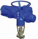 Any of Vogt gate and globe valves with bolted or sealwelded bonnets can be furnished with