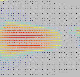 and average velocity fields (right).
