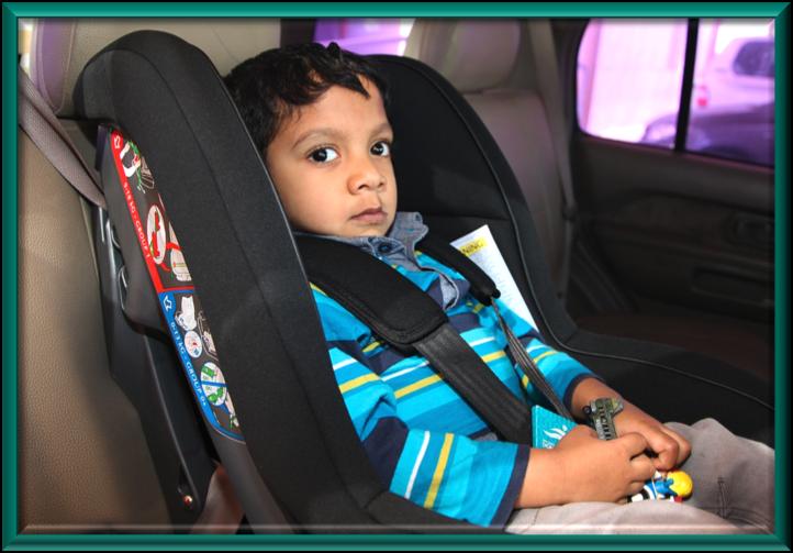 Progress Check: Identify Forward-Facing Car Seat