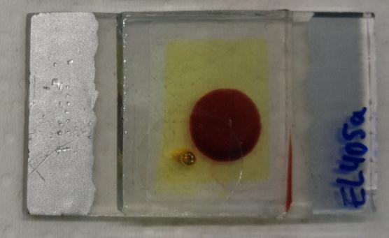 Dye Sensitized solar Cells FTO Glass Carbon based counter-electrode Graphene composite FTO Glass