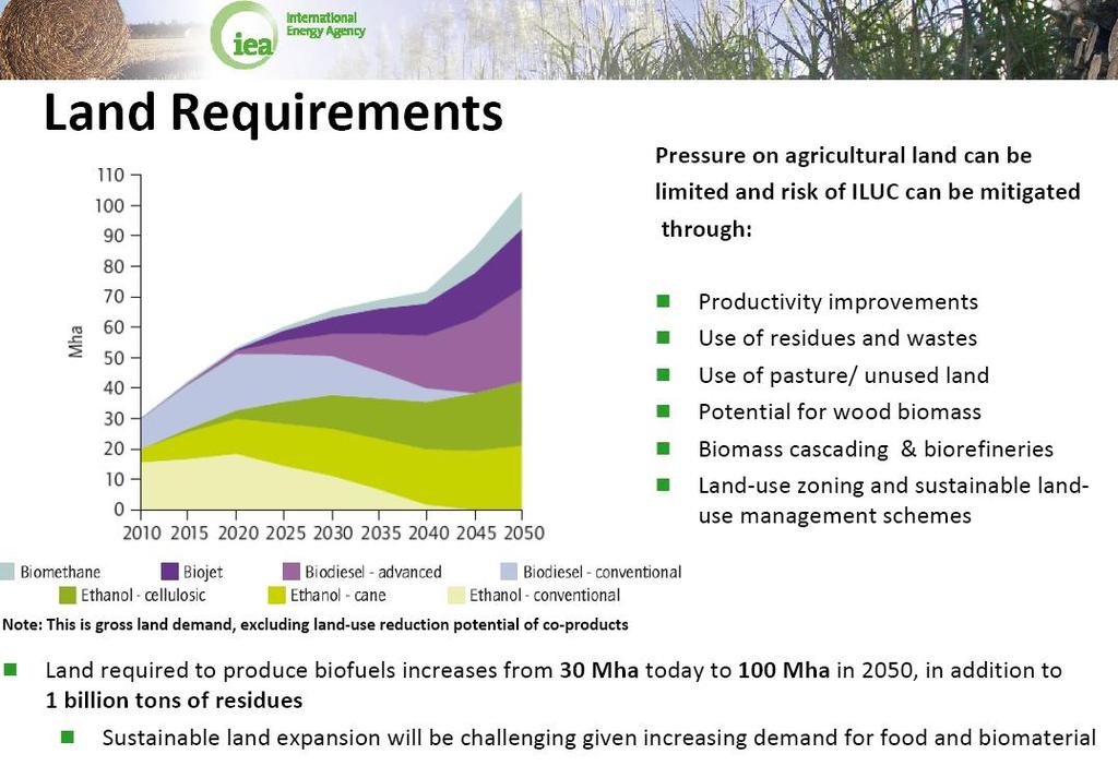 Biofuel Land Requirements