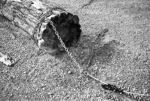 Slide the log chain under the log and connect on the other side. b. Extend the cable to the log chain. c. Connect the hook on the end of the cable to the end of the log chain.