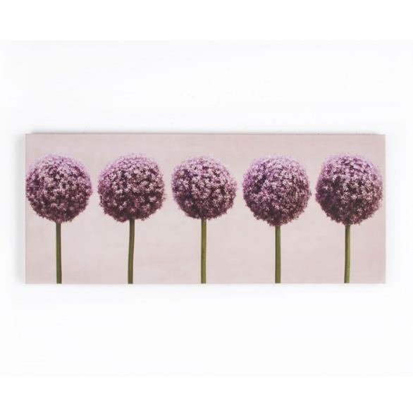 28 Row of Alliums Printed Canvas (Code: