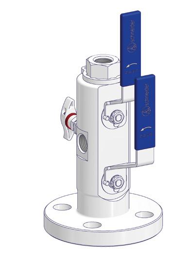Instruments may be directly mounted to the valve outlet or remote mounted with impulse pipe work.