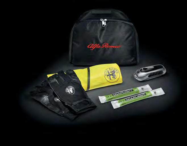 cleaner & wax). The kit comes in a nice Alfa Romeo branded bag.