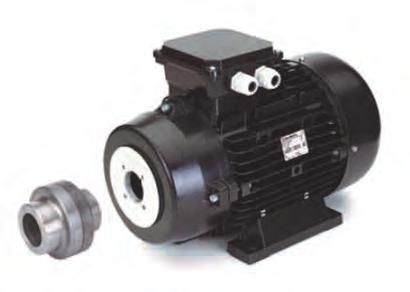 MOTORS GREAT RANGE, HUGE STOCKS, EXCEPTIONAL PRICES MONSOON ELECTRIC MOTORS HOLLOW SHAFT Suit direct coupling to most pump models, four pole 150 rpm, 50Hz, slow speed IP56 spray protection.