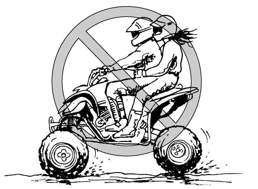 This ATV is designed to carry operator only - passengers prohibited. qwarning POTENTIAL HAZARD Carrying a passenger on this ATV.