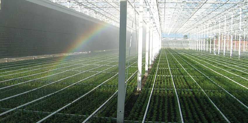 GREENHOUSE IRRIGATION SOLUTIONS & CLIMATE CONTROL For many years NaanDanJain has been deeply involved with irrigation solutions for houses, nurseries and tunnels.