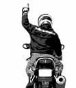 Slow Down - arm extended straight out, palm facing down, swing down to your side Double File - arm with index and middle finger extended straight up Fuel - arm out to side pointing to tank with