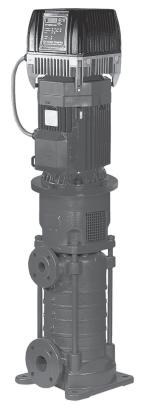 PUMPS EQUIPPED WITH IE2 MOTORS COMPLYING WITH