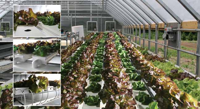 HydroCycle 6" Pro NFT Lettuce Systems Designed to grow healthy plants without soil using